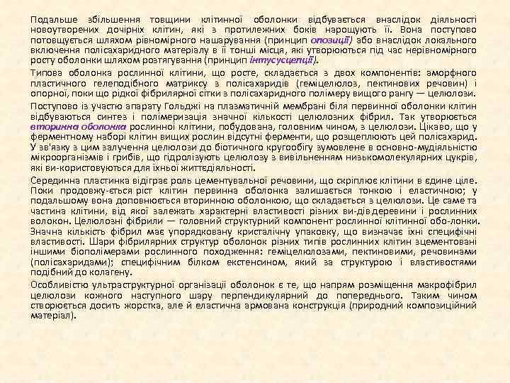 Подальше збільшення товщини клітинної оболонки відбувається внаслідок діяльності новоутворених дочірніх клітин, які з протилежних