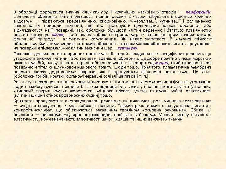 В оболонці формується значна кількість пор і крупніших наскрізних отворів — перфорацій. Целюлозні оболонки