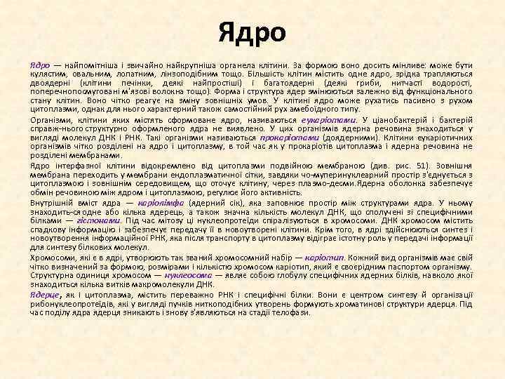 Ядро — найпомітніша і звичайно найкрупніша органела клітини. За формою воно досить мінливе: може