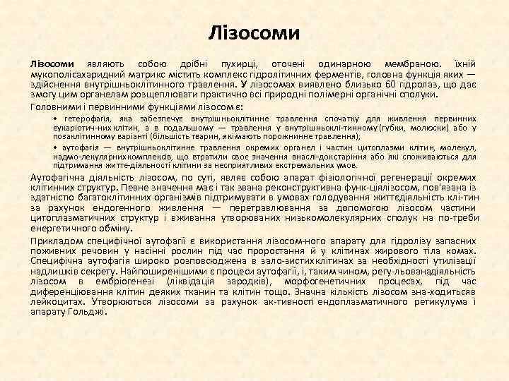 Лізосоми являють собою дрібні пухирці, оточені одинарною мембраною. їхній мукополісахаридний матрикс містить комплекс гідролітичних