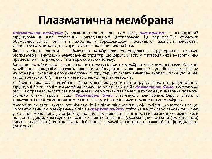 Плазматична мембрана (у рослинних клітин вона має назву плазмалема) — поверхневий структурований шар, утворений