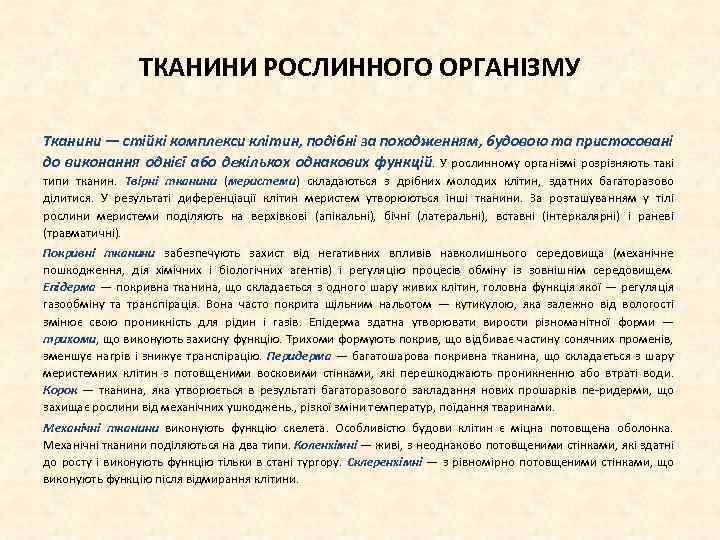 ТКАНИНИ РОСЛИННОГО ОРГАНІЗМУ Тканини — стійкі комплекси клітин, подібні за походженням, будовою та пристосовані