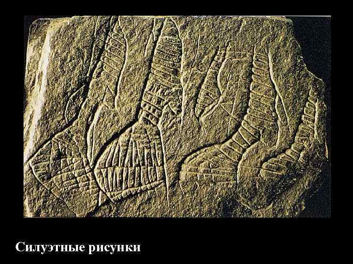 Силуэтные рисунки 