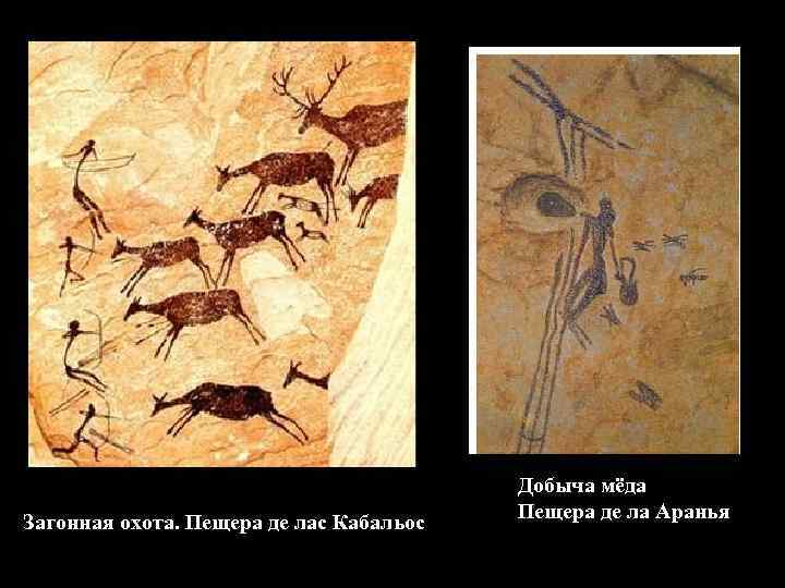 Загонная охота. Пещера де лас Кабальос Добыча мёда Пещера де ла Аранья 