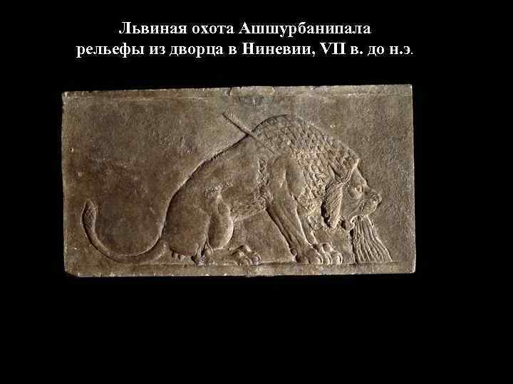 Львиная охота Ашшурбанипала рельефы из дворца в Ниневии, VII в. до н. э. 