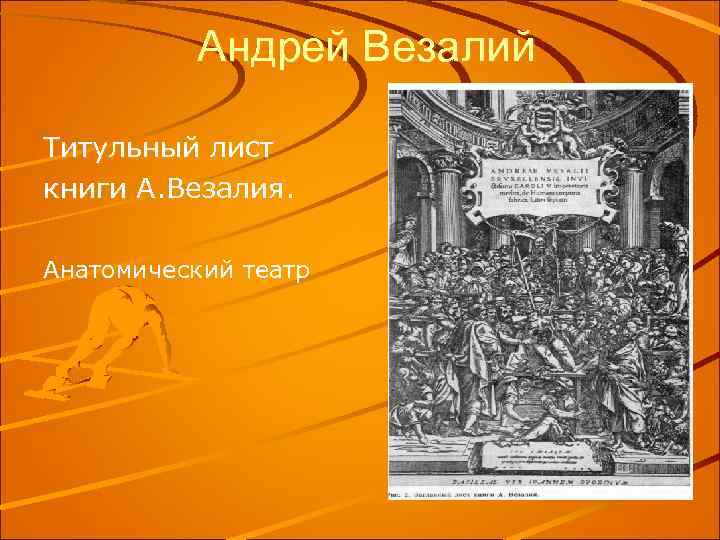 Андрей Везалий Титульный лист книги А. Везалия. Анатомический театр 