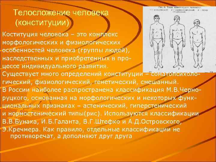 Конституция человека презентация