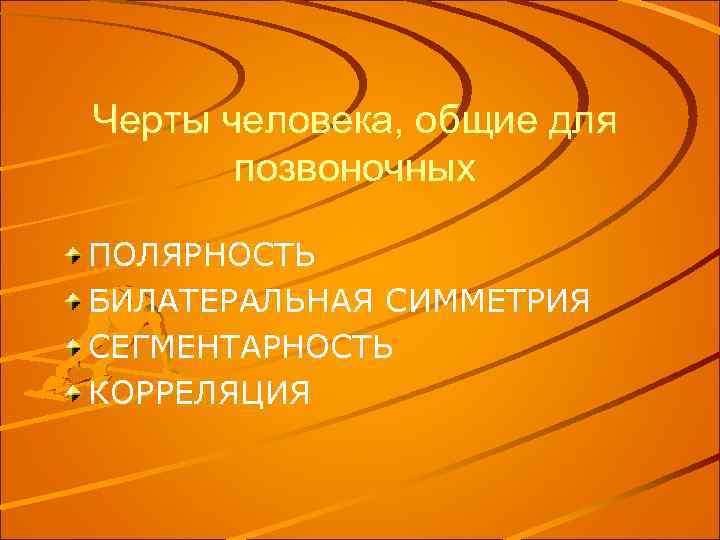 Черты человека, общие для позвоночных ПОЛЯРНОСТЬ БИЛАТЕРАЛЬНАЯ СИММЕТРИЯ СЕГМЕНТАРНОСТЬ КОРРЕЛЯЦИЯ 