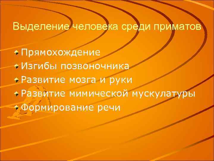 Выделение человека среди приматов Прямохождение Изгибы позвоночника Развитие мозга и руки Развитие мимической мускулатуры