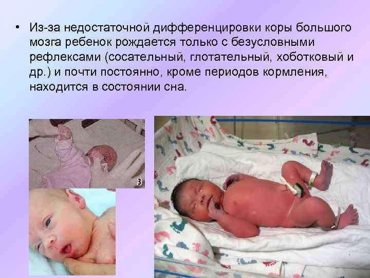  • Из-за недостаточной дифференцировки коры большого мозга ребенок рождается только с безусловными рефлексами