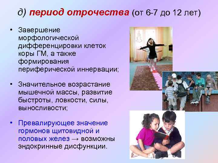 д) период отрочества (от 6 -7 до 12 лет) • Завершение морфологической дифференцировки клеток