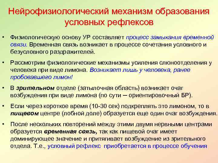 Механизм образования условных рефлексов. Нейрофизиологические механизмы памяти. Нейрофизиологические механизмы восприятия. Механизм образования временной связи условных рефлексов. Нейрофизиологические механизмы деятельности анализаторов кратко..