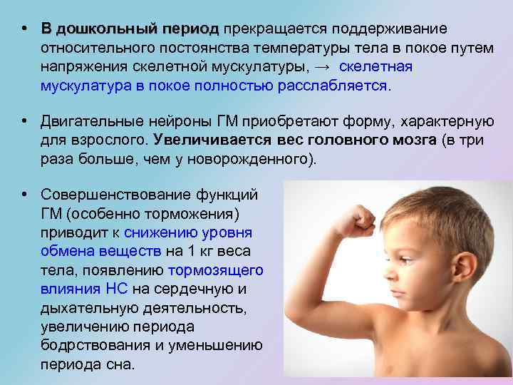  • В дошкольный период прекращается поддерживание В дошкольный период относительного постоянства температуры тела