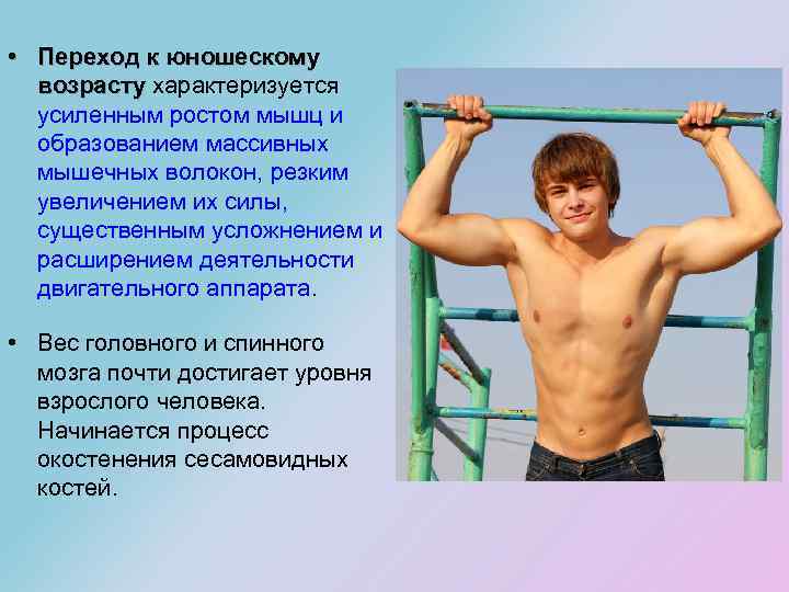 • Переход к юношескому возрасту характеризуется возрасту усиленным ростом мышц и образованием массивных