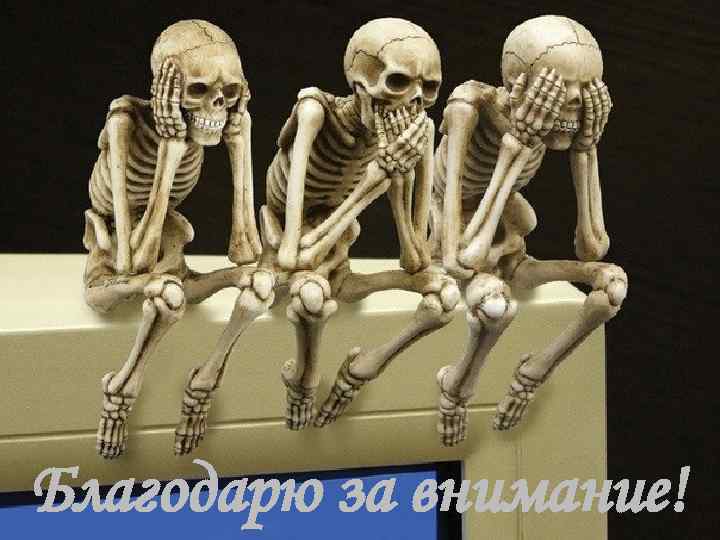 Благодарю за внимание! 