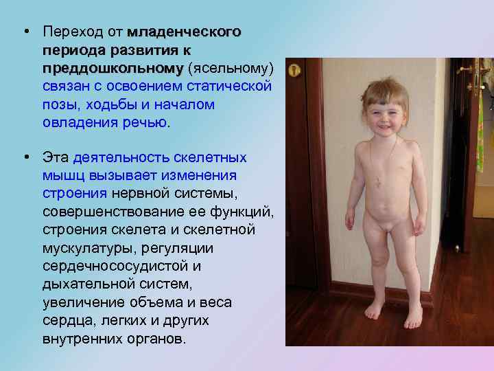  • Переход от младенческого периода развития к преддошкольному (ясельному) преддошкольному связан с освоением