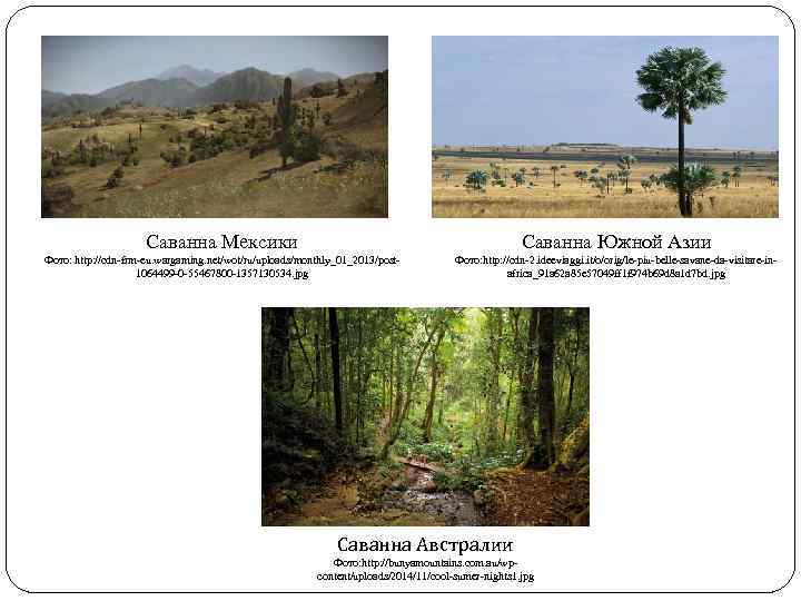 Саванна Мексики Саванна Южной Азии Фото: http: //cdn-frm-eu. wargaming. net/wot/ru/uploads/monthly_01_2013/post 1064499 -0 -55467800 -1357130534.