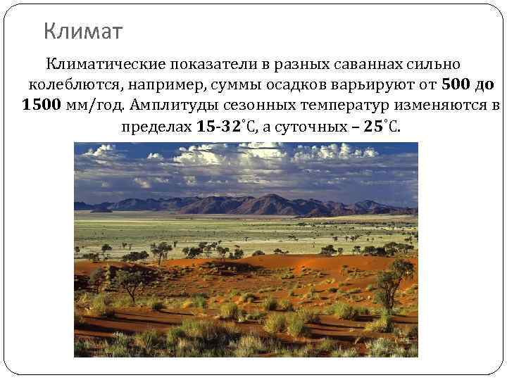 Климатические показатели в разных саваннах сильно колеблются, например, суммы осадков варьируют от 500 до
