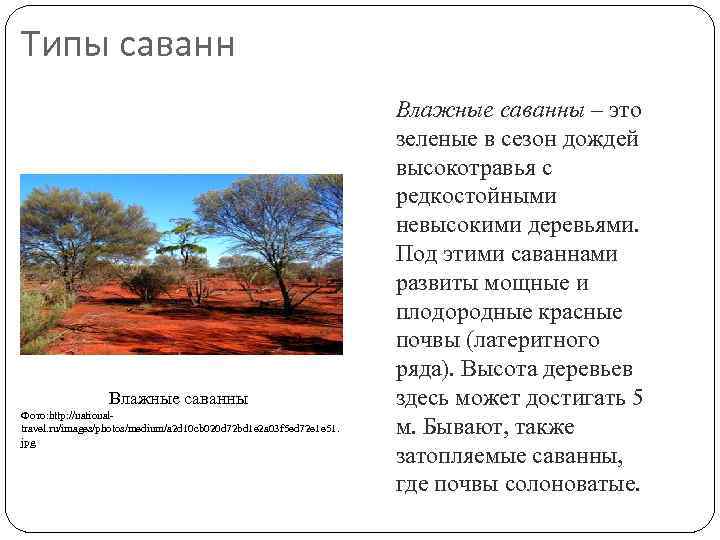 Типы саванн Влажные саванны Фото: http: //nationaltravel. ru/images/photos/medium/a 2 d 10 cb 020 d