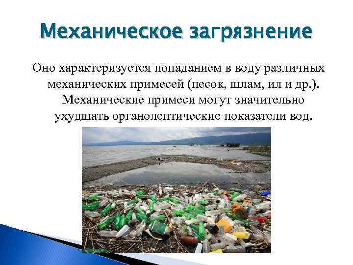 Исследовательский проект загрязнение воды