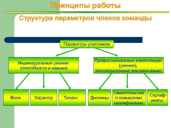 Принципы работы Структура параметров членов команды Параметры участников Индивидуальные умения (способности и навыки) Воля