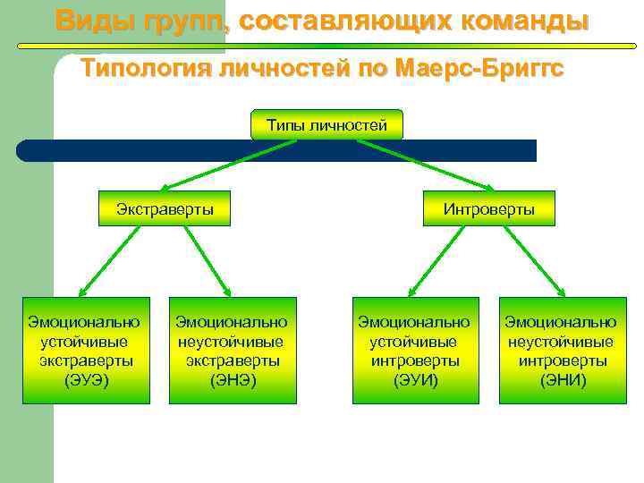 Виды групп, составляющих команды Типология личностей по Маерс-Бриггс Типы личностей Экстраверты Эмоционально устойчивые экстраверты