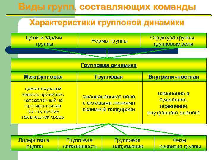 Составляющая команды. Динамика цели и задачи. Виды команд. Виды команд и их характеристика. Разновидности групп коллектива.