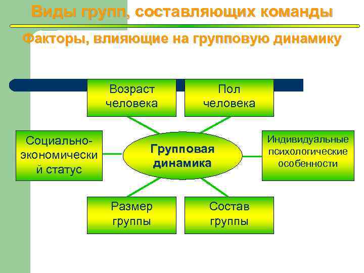 Виды групп, составляющих команды Факторы, влияющие на групповую динамику Возраст человека Социальноэкономически й статус