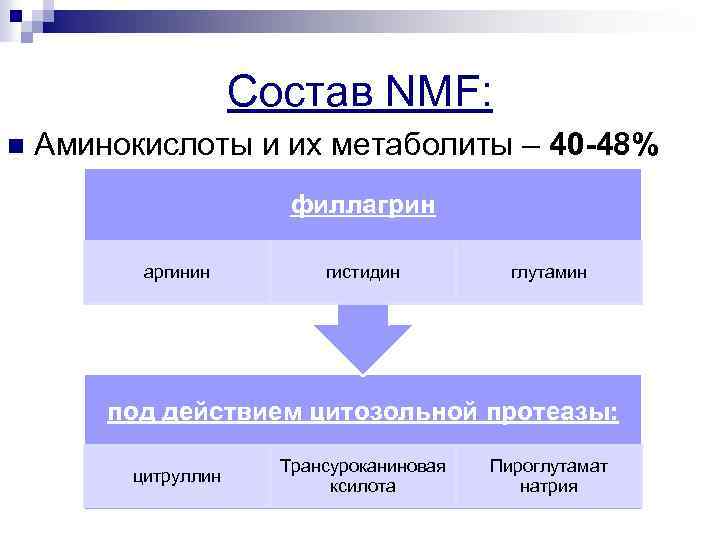 Состав NMF: n Аминокислоты и их метаболиты – 40 -48% филлагрин аргинин гистидин глутамин