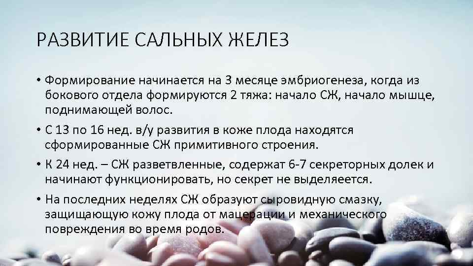 РАЗВИТИЕ САЛЬНЫХ ЖЕЛЕЗ • Формирование начинается на 3 месяце эмбриогенеза, когда из бокового отдела