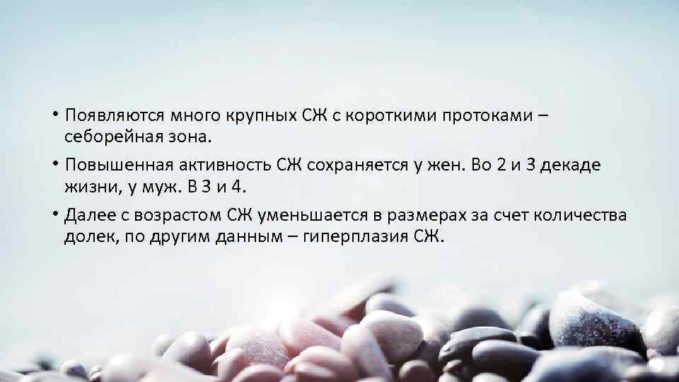  • Появляются много крупных СЖ с короткими протоками – себорейная зона. • Повышенная