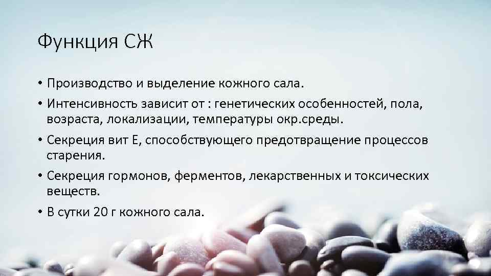 Функция СЖ • Производство и выделение кожного сала. • Интенсивность зависит от : генетических