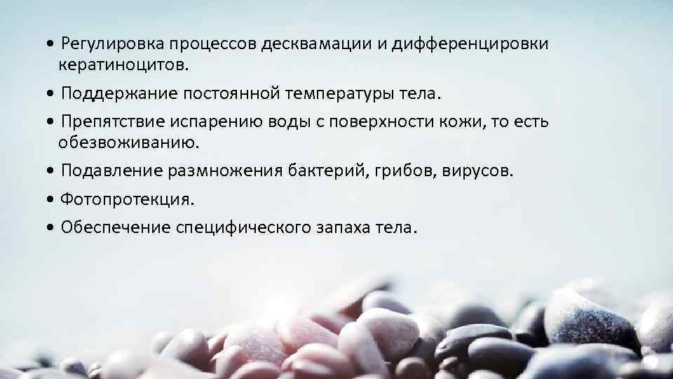  • Регулировка процессов десквамации и дифференцировки кератиноцитов. • Поддержание постоянной температуры тела. •