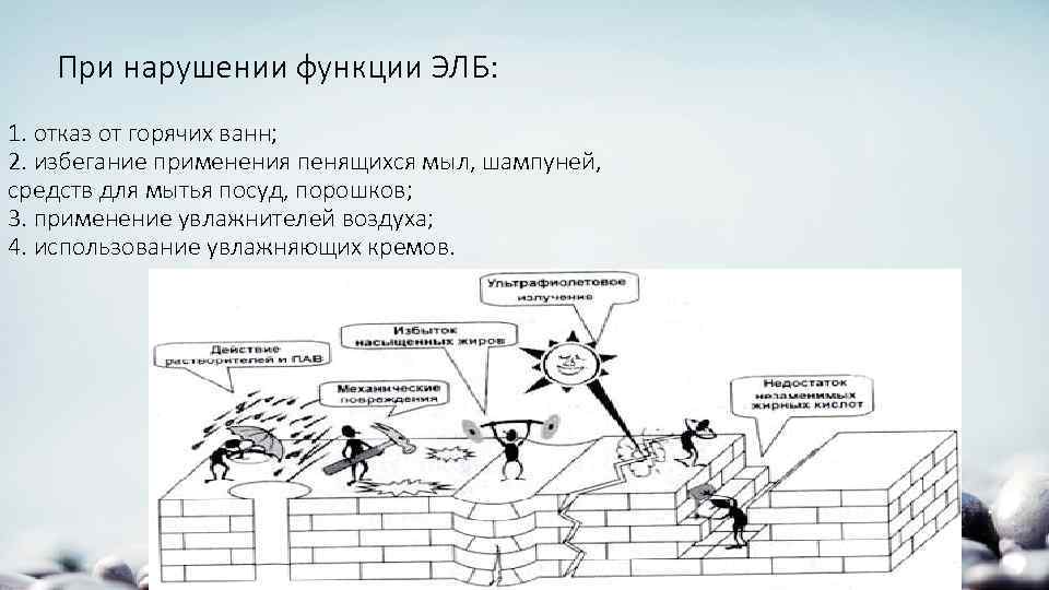 При нарушении функции ЭЛБ: 1. отказ от горячих ванн; 2. избегание применения пенящихся мыл,