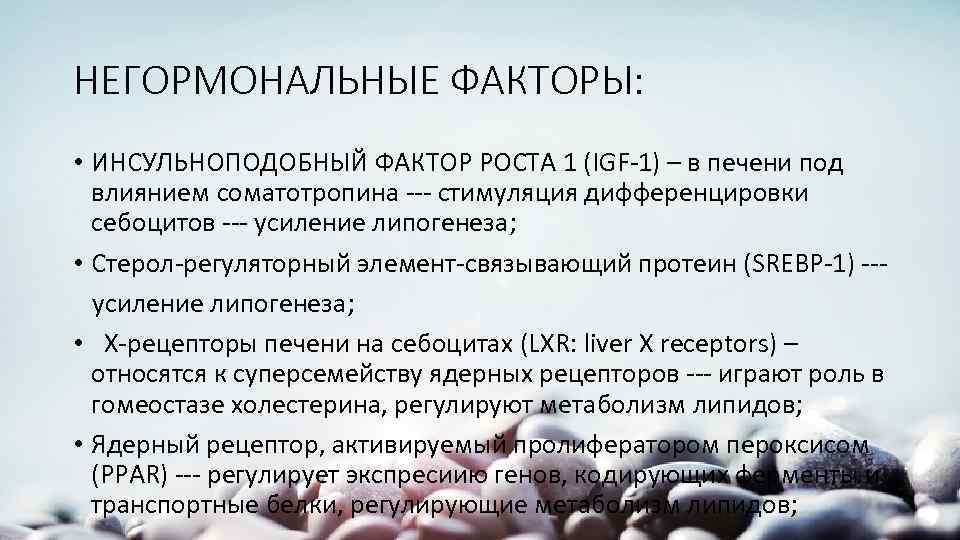 НЕГОРМОНАЛЬНЫЕ ФАКТОРЫ: • ИНСУЛЬНОПОДОБНЫЙ ФАКТОР РОСТА 1 (IGF-1) – в печени под влиянием соматотропина