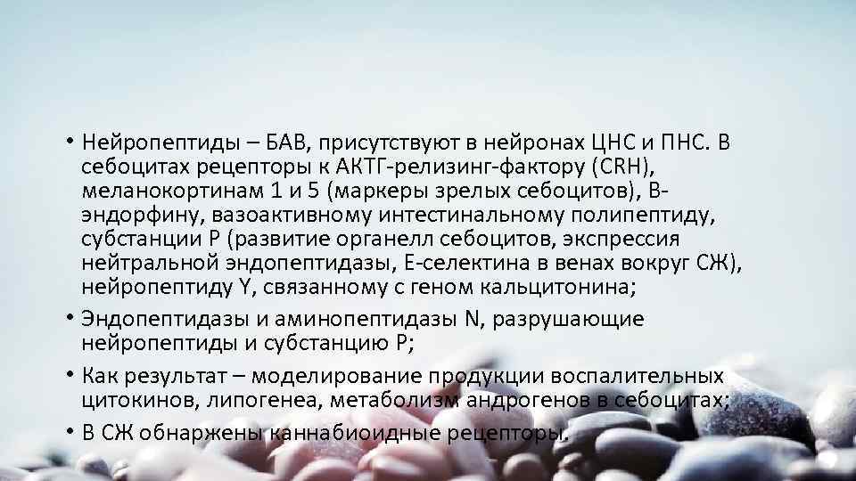  • Нейропептиды – БАВ, присутствуют в нейронах ЦНС и ПНС. В себоцитах рецепторы