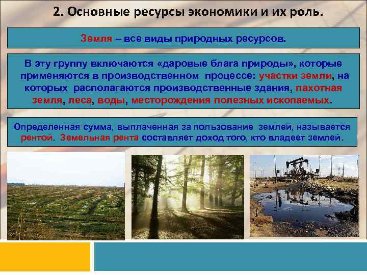 2. Основные ресурсы экономики и их роль. Земля – все виды природных ресурсов. В