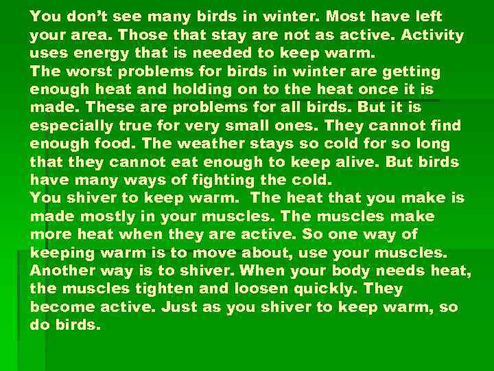 You don’t see many birds in winter. Most have left your area. Those that