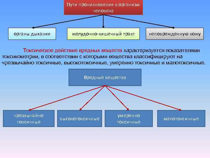 Проникать в организм. Пути проникновения в организм. Токсическое действие вредных веществ характеризуется показателями. Пути проникновения вредных веществ в организм. Классификация вредных веществ по пути проникновения в организм.