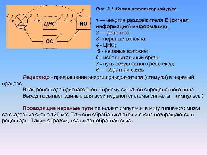 Идентификация 2. Энергия дуги. Командно-сигнальная информация. Способность рецепторов приспосабливаться к силе раздражителя это.