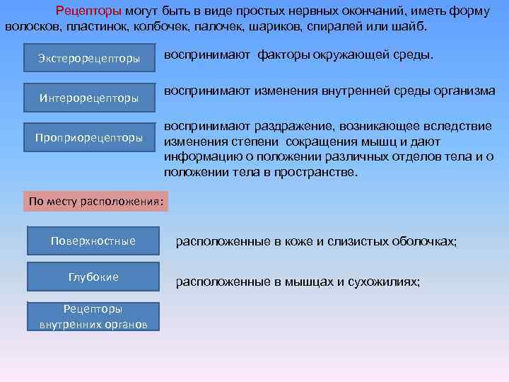 Рецепторы могут быть в виде простых нервных окончаний, иметь форму волосков, пластинок, колбочек, палочек,