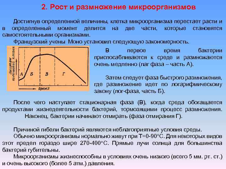 Рост микроорганизмов. Рост и размножение бактерий. Стационарная фаза размножения бактерий. График размножения бактерий. Рост и размножение бактерий факторы роста.