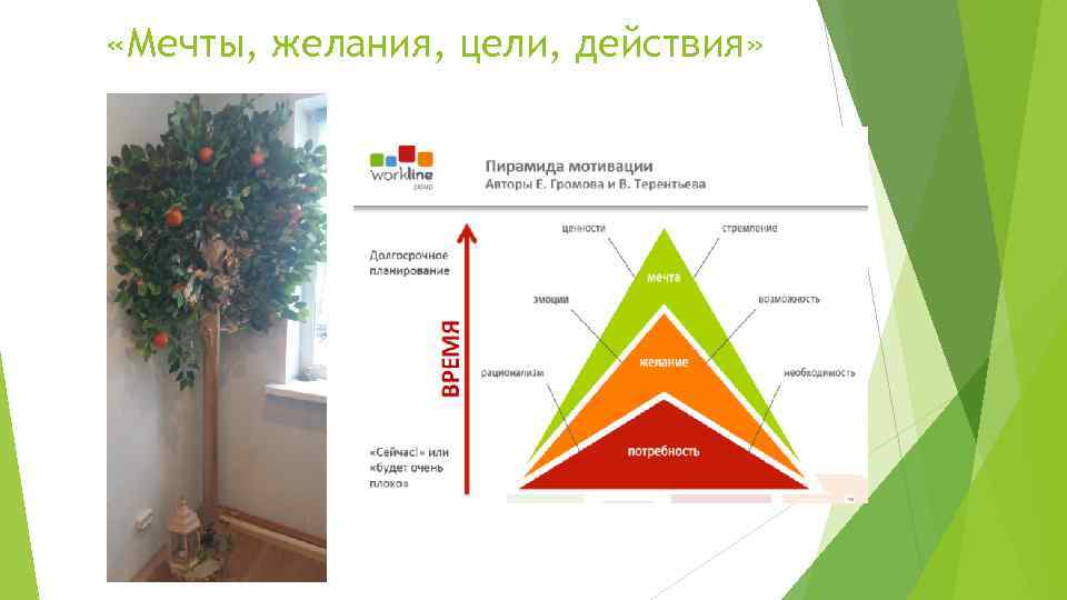  «Мечты, желания, цели, действия» 