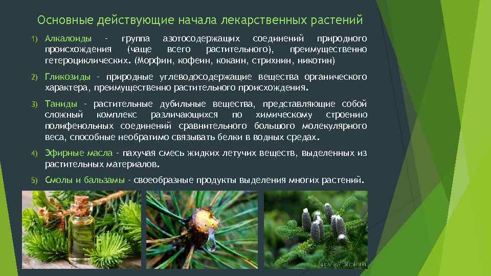 Основные действующие начала лекарственных растений 1) Алкалоиды – группа азотосодержащих соединений природного происхождения (чаще