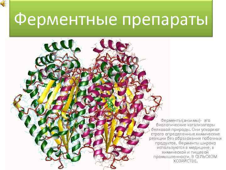 Ферментные препараты Ферменты(энзимы)- это биологические катализаторы белковой природы. Они ускоряют строго определенные химические реакции