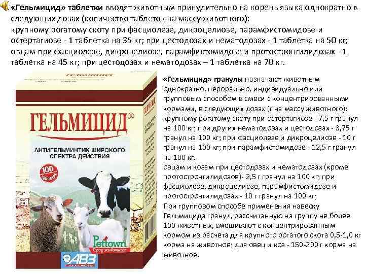  «Гельмицид» таблетки вводят животным принудительно на корень языка однократно в следующих дозах (количество