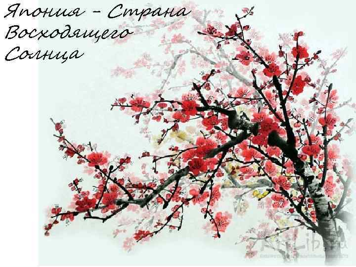 Япония - Страна Восходящего Солнца 