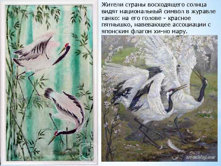 Жители страны восходящего солнца видят национальный символ в журавле танко: на его голове -