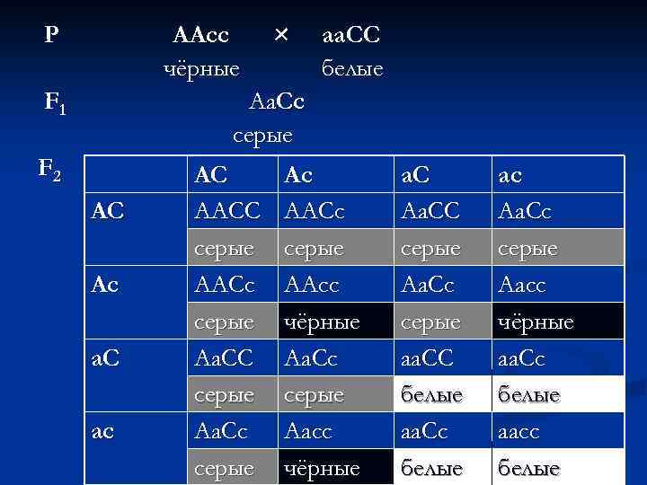 P ААсс чёрные F 1 × аа. СС белые Аа. Cc серые F 2