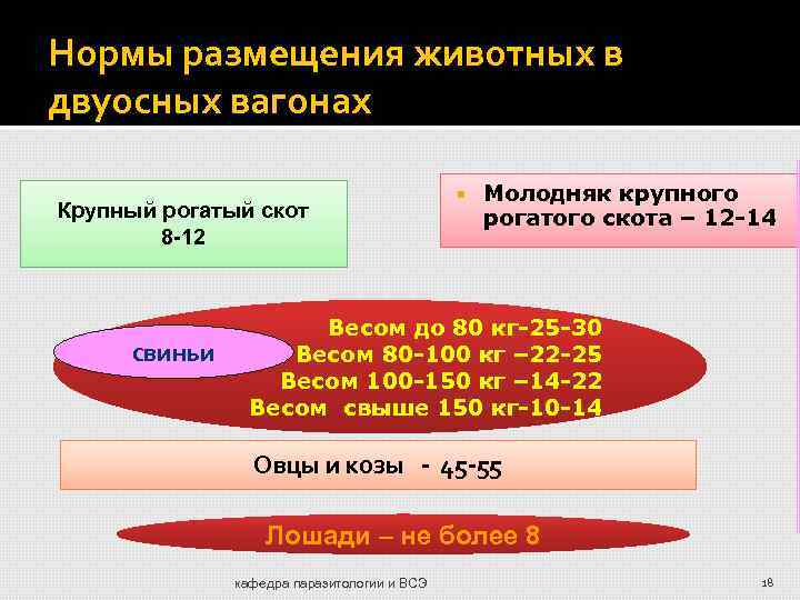 Нормы размещения животных в двуосных вагонах Крупный рогатый скот 8 -12 свиньи Молодняк крупного